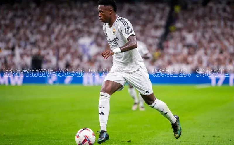 龙八国际app官方下载百度手机卫士