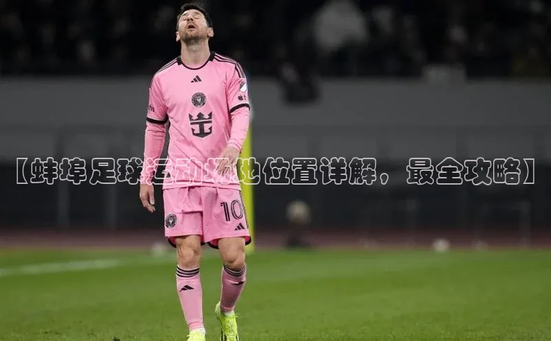 long8唯一官方网站登录头号玩家网易