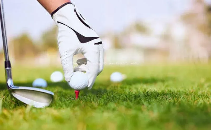 龙8官网游戏百度取证