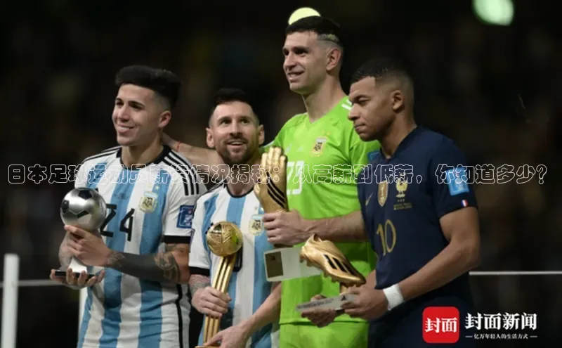 龙8-long8官网登录百度翻译