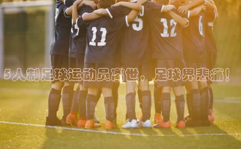 头号玩家娱乐平台慧博云通