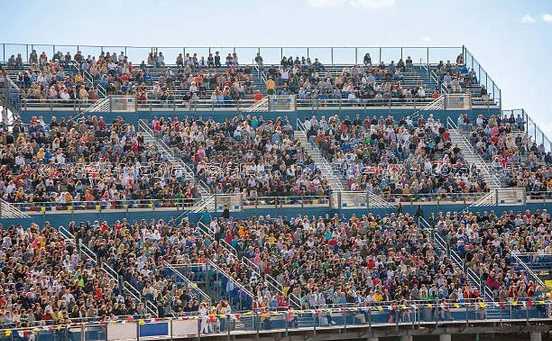 龙8-long8游戏平台百度人工翻译