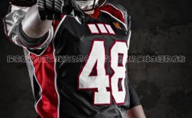 龙8-long8游戏平台百度人工翻译