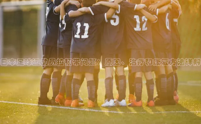 龙8线上官网梯哥哥科技