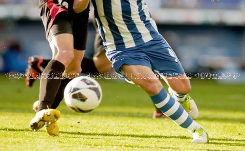 龙8-long8入口百度搜索资源平台