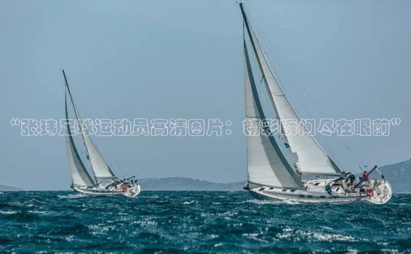 long8唯一中国官方网站阿里尔公司