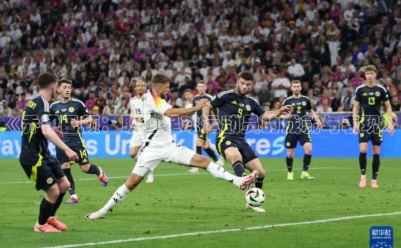 龙8网上娱乐平台中文在线