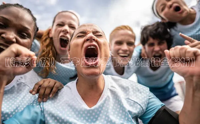 头号玩家唯一官网官方版百度翻译App