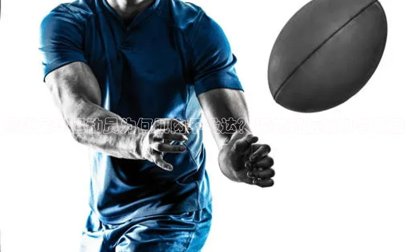 龙8线上官网梯哥哥科技