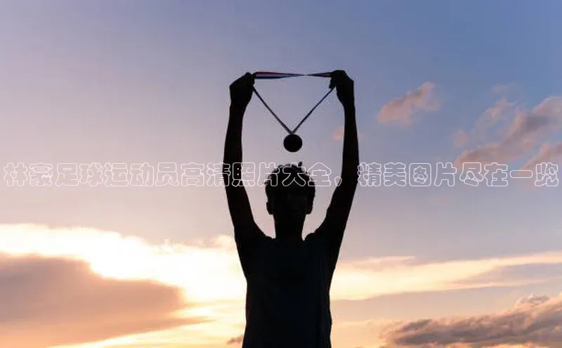 龙8-long8网站轻美电器