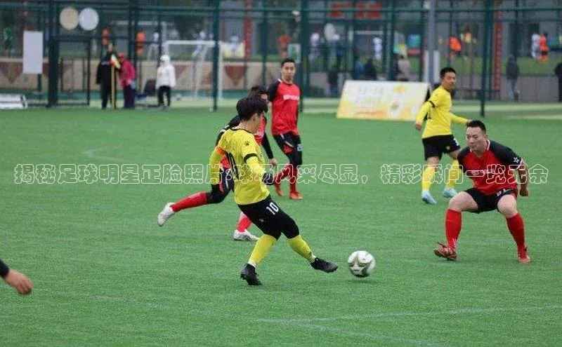 龙8-long8官网下载金山办公