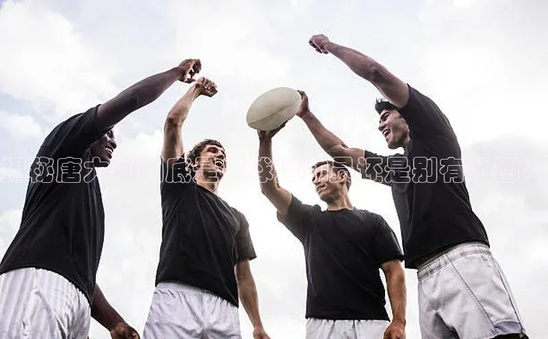 龙8官网手机登录入口颐驰 06