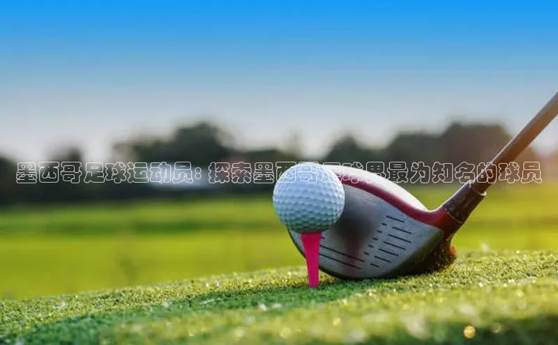 龙8-long8官网登录美团