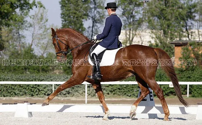 龙8-long8游戏平台每日互动