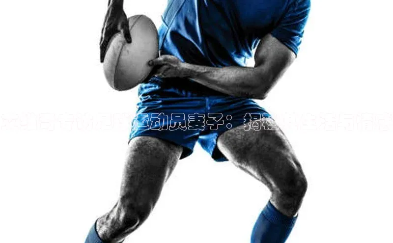 龙8-long8游戏平台百度人工翻译