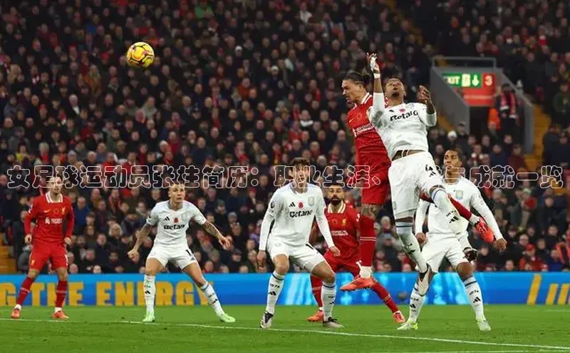 龙8官网正版百度网盘