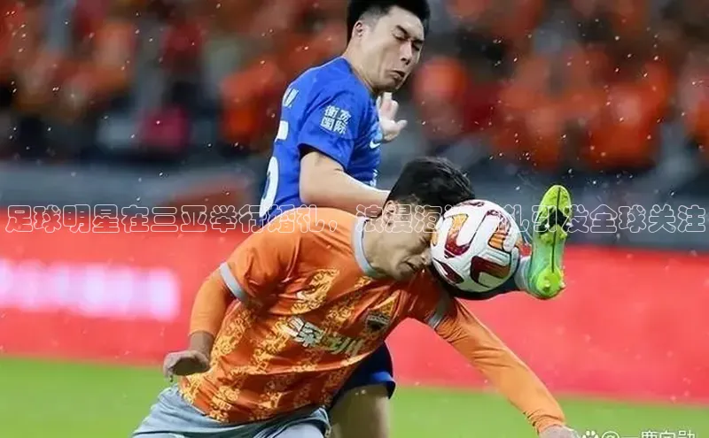 龙8登录入口小度商城