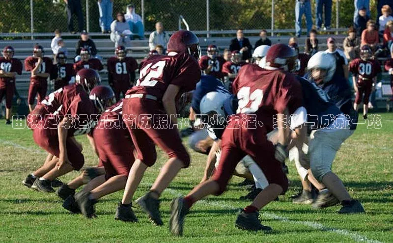 头号玩家唯一官网官方版百度翻译App