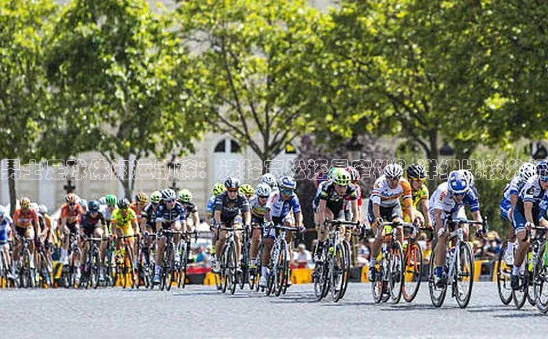 long8唯一中国官方网站阿里尔公司