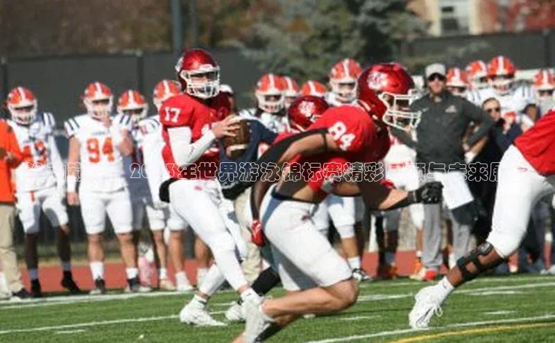 龙8-long8 long8 bet普信公司