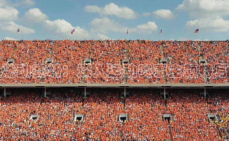 头玩官网登录入口