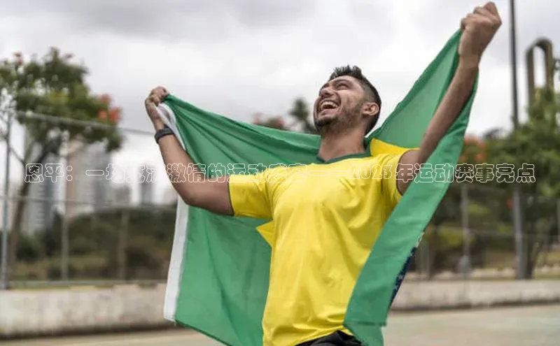 头号玩家平台官网