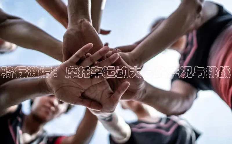 龙8网上娱乐平台