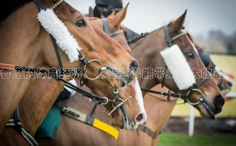头号玩家娱乐平台