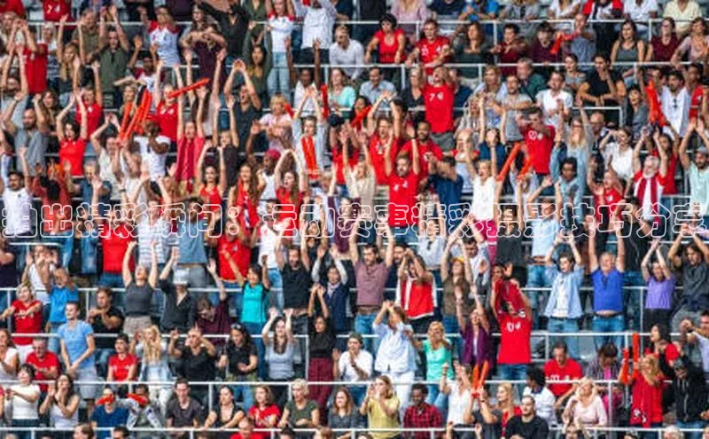 头号玩家网站官方网站下载