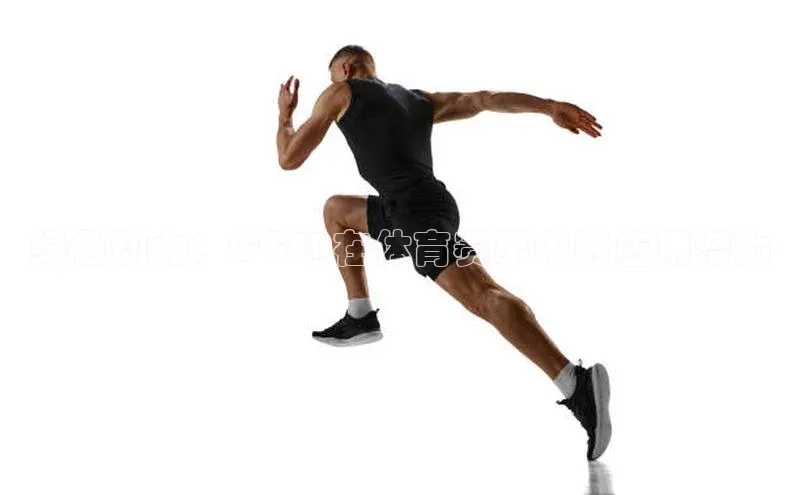 头号玩家官网登录