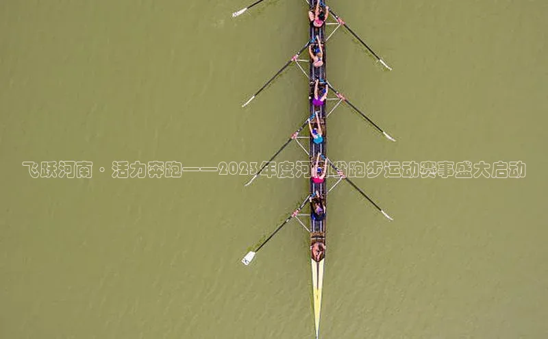 头号玩家平台官网