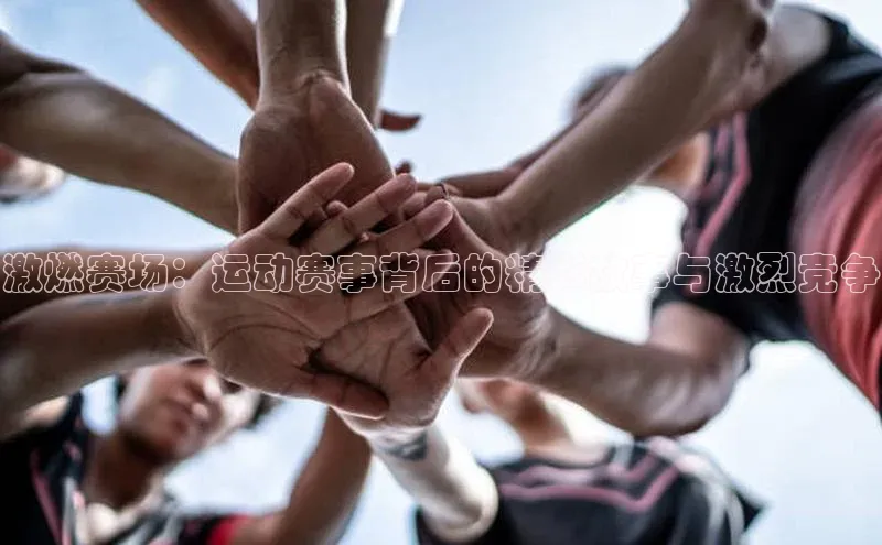 龙八国际app官方版