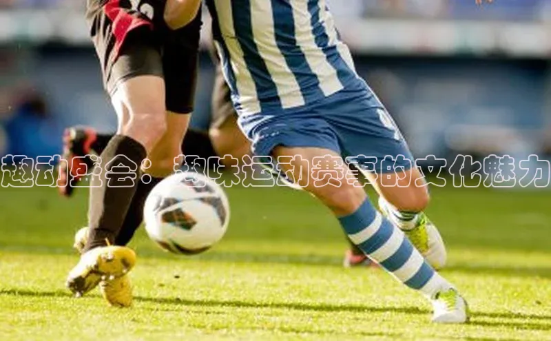 龙8官网手机登录入口